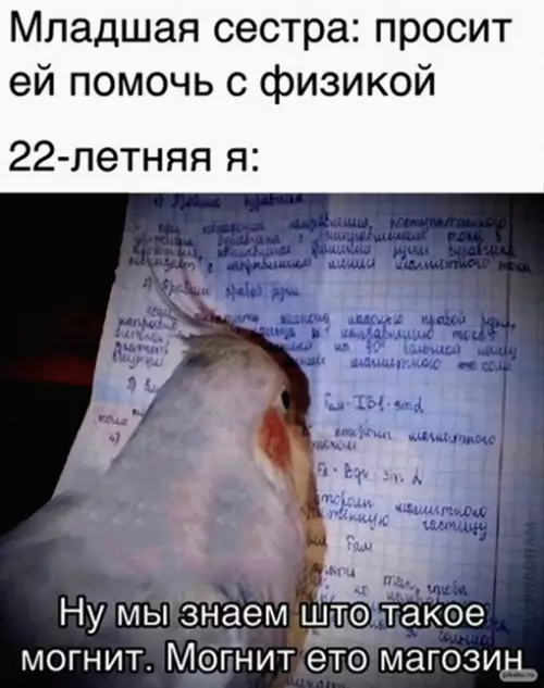 Смешная картинка №641327