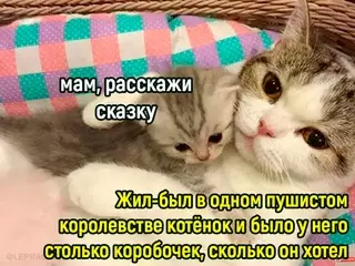 Смешная картинка №717125