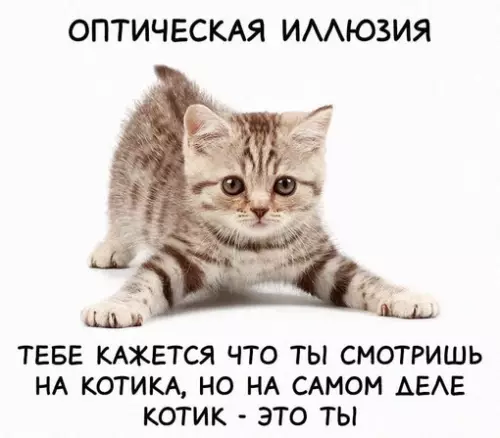 Смешная картинка №644884 Доброе утро ❤️
