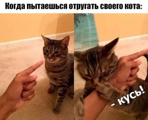Смешная картинка №785222