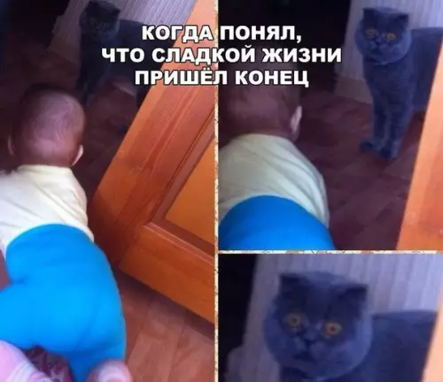 Смешная картинка №208340