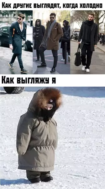 Смешная картинка №398747