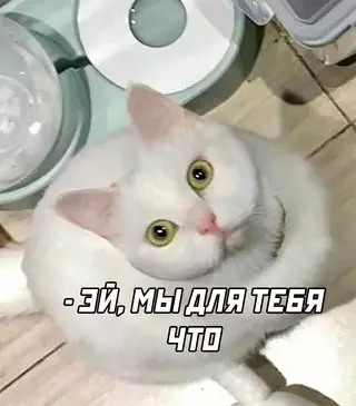 Смешная картинка №716136