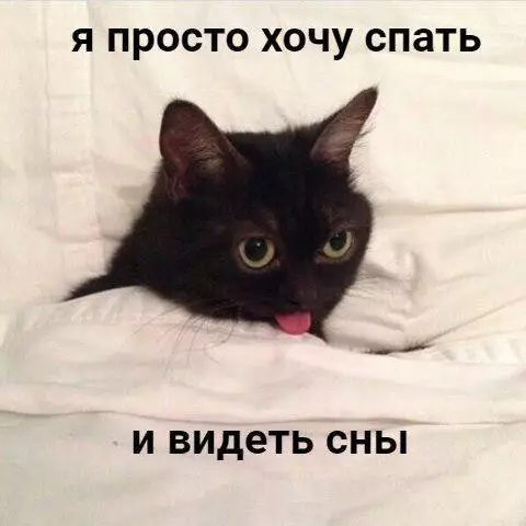 Смешная картинка №218104