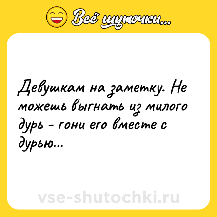 Шутка: Девушкам на заметку. Не можешь выгнать из милого дурь - гони его вместе с дурью…
