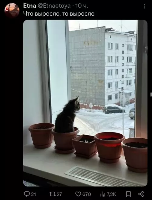 Смешная картинка №738243
