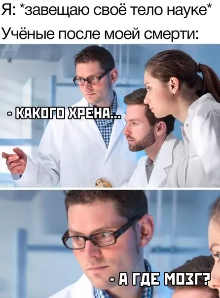 Твое тело науке, а мозги куда? 🧠💀 - Я: завещаю своё тело науке Учёные после моей смерти: -