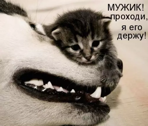 Смешная картинка №224642