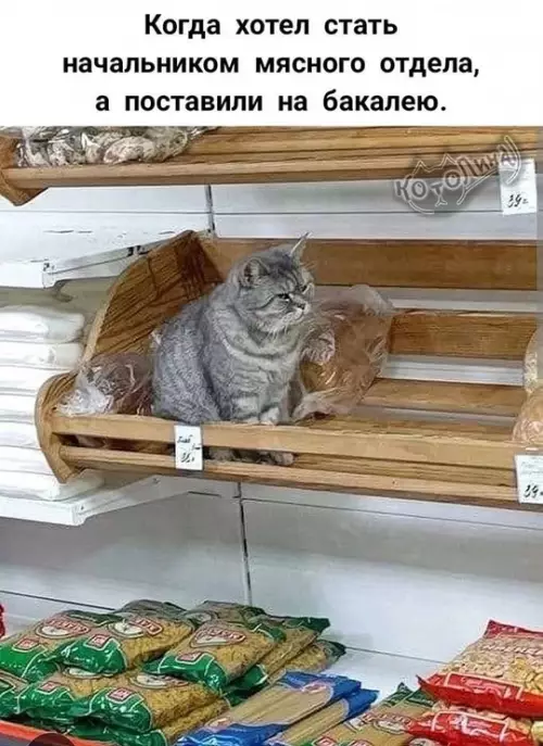 Смешная картинка №744330