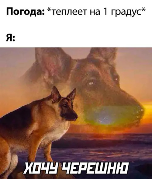 Смешная картинка №684877