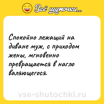 Шутка: Спокойно лежащий на диване муж, с приходом жены, мгновенно превращается в нагло валяющегося.