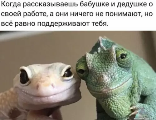 Смешная картинка №447791