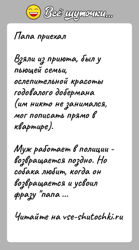 История: Папа приехалВзяли из приюта, был у пьющей семьи, ослепительной красоты годовалого добермана (им никто не занимался, мог пописать прямо в
