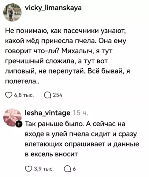 Забавные разговоры о мёде