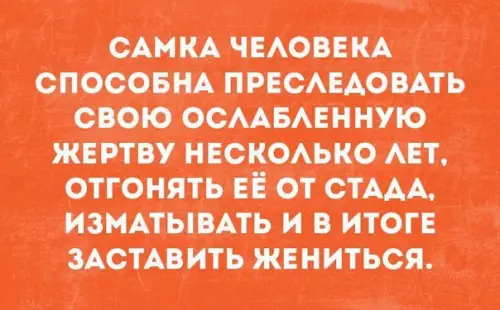 Смешная картинка №220786