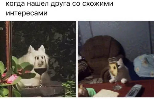 Смешная картинка №202732