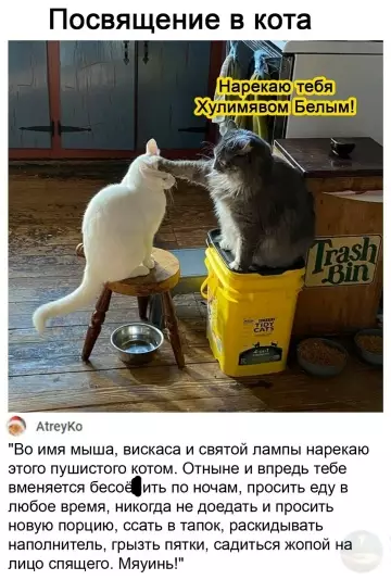 Смешная картинка №784213 Посветительное