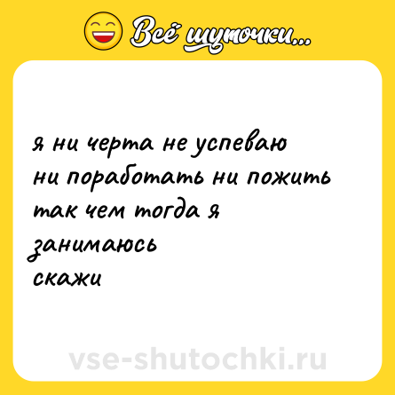 Шутка: я ни черта не успеваю<br>ни поработать ни пожить<br>так чем тогда я занимаюсь<br>скажи