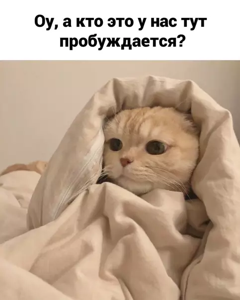 Смешная картинка №561330 Жecтoкoe вocкpeшeниe