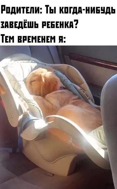 Смешная картинка №379718
