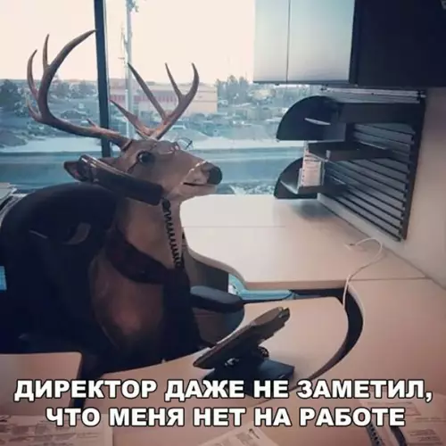 Смешная картинка №211368