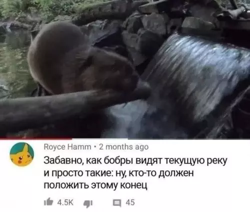 Смешная картинка №787663