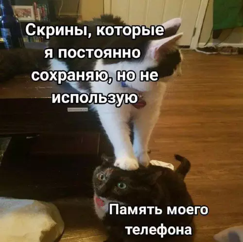 Смешная картинка №733561 Все нужное