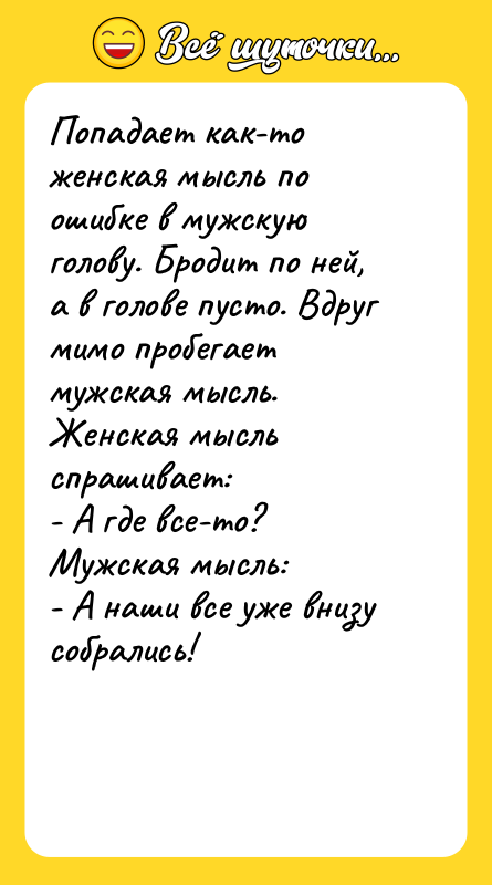Попадает как-то женская мысль по ошибке в мужскую голову. Бродит