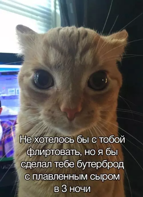 Смешная картинка №738321
