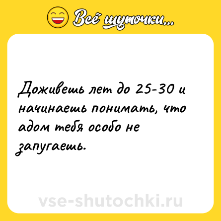 Шутка: Доживешь лет до 25-30 и начинаешь понимать, что адом тебя особо не запугаешь.