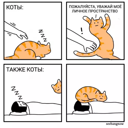 Смешная картинка №732073 Личное пространство Коты