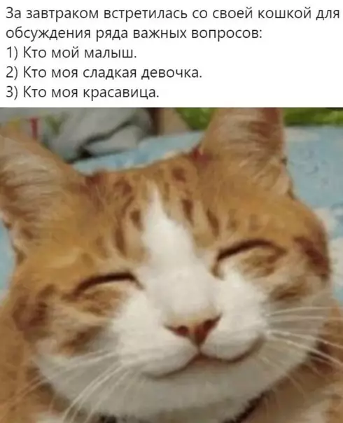 Смешная картинка №490519 Лyчший зaвтpaк