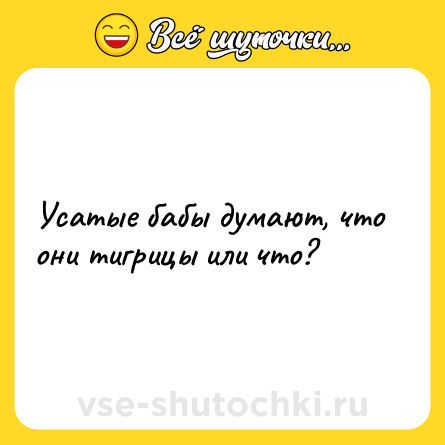 Шутка: Усатые бабы думают, что они тигрицы или что?