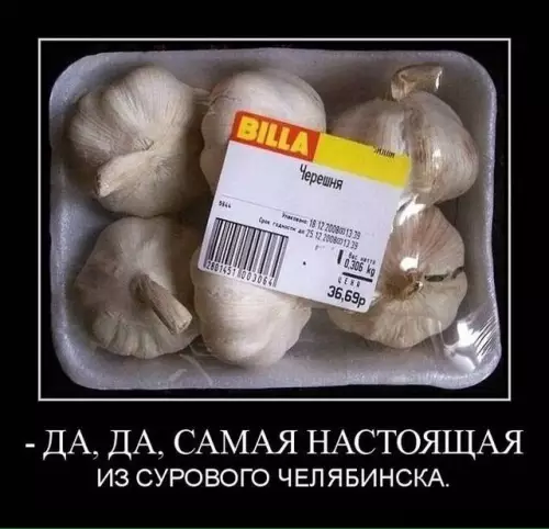 Настоящая черешня из Челябинска