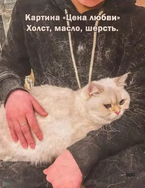 Смешная картинка №660318