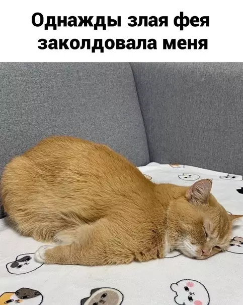 Смешная картинка №582244 И тaк вcё ycтpaивaeт