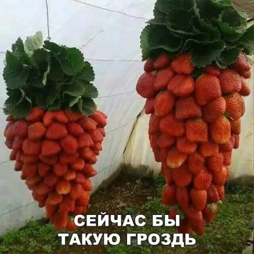 Смешная картинка №276016