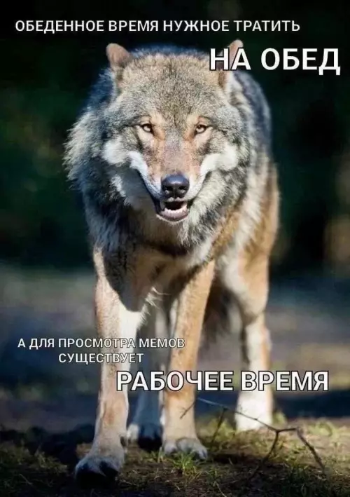 Смешная картинка №790287