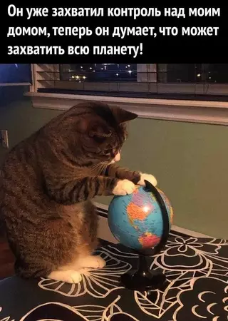 Смешная картинка №714293