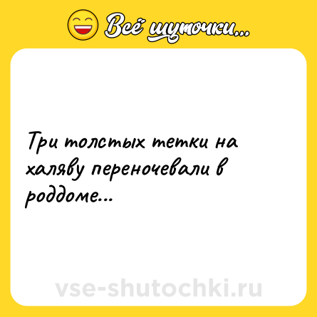 Шутка: Три толстых тетки на халяву переночевали в роддоме...