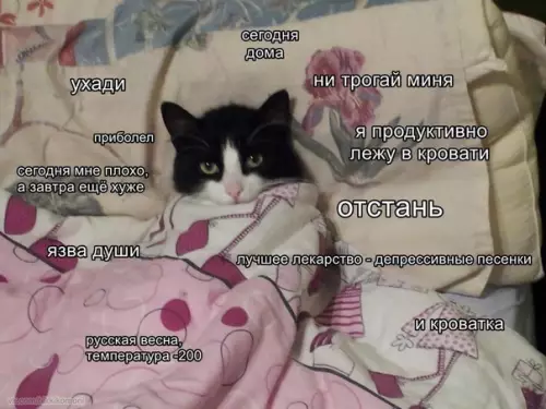 Смешная картинка №258372 Планы на выходные: