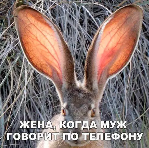 Смешная картинка №187156