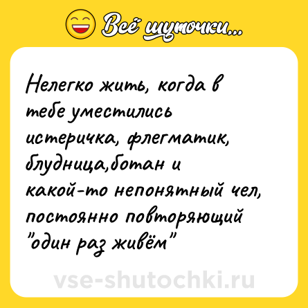 Шутка: Нелегко жить, когда в тебе уместились истеричка, флегматик, блудница,ботан и какой-то непонятный чел, постоянно повторяющий 