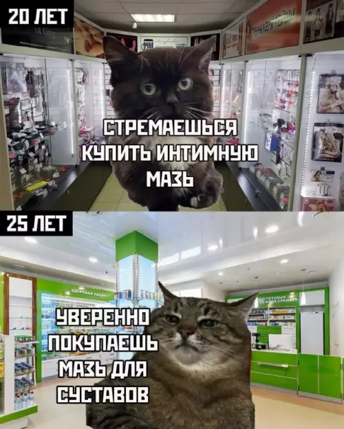 Смешная картинка №685209