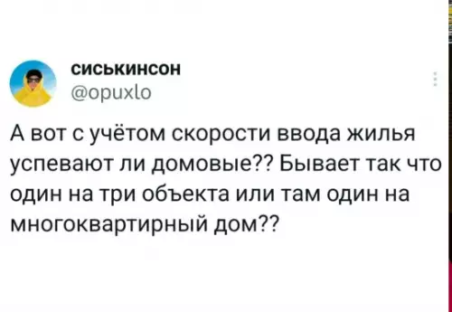 Домовые не справляются с темпами стройки! 🏠🏃‍♂️ - А вот с учётом скорости ввода жилья успевают ли домовые??