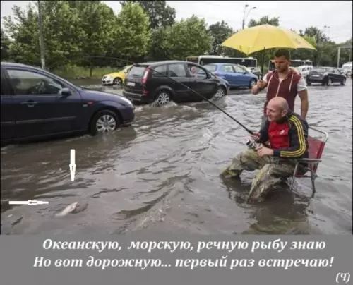Смешная картинка №275698