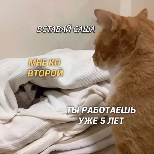 Смешная картинка №701587