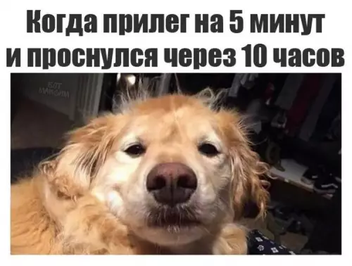 Смешная картинка №243265