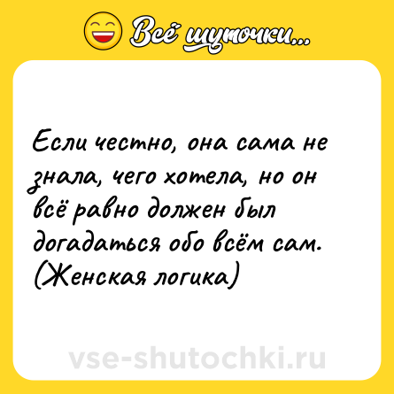 Шутка: Если честно, она сама не знала, чего хотела, но он всё равно должен был догадаться обо всём сам. (Женская логика)