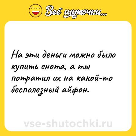Шутка: На эти деньги можно было купить енота, а ты потратил их на какой-то бесполезный айфон.